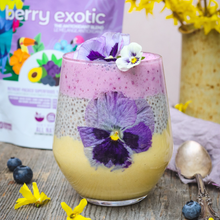 Load image into Gallery viewer, Berry breakfast pudding made using smoov berry exotic blend, yogurt and a smoothie.