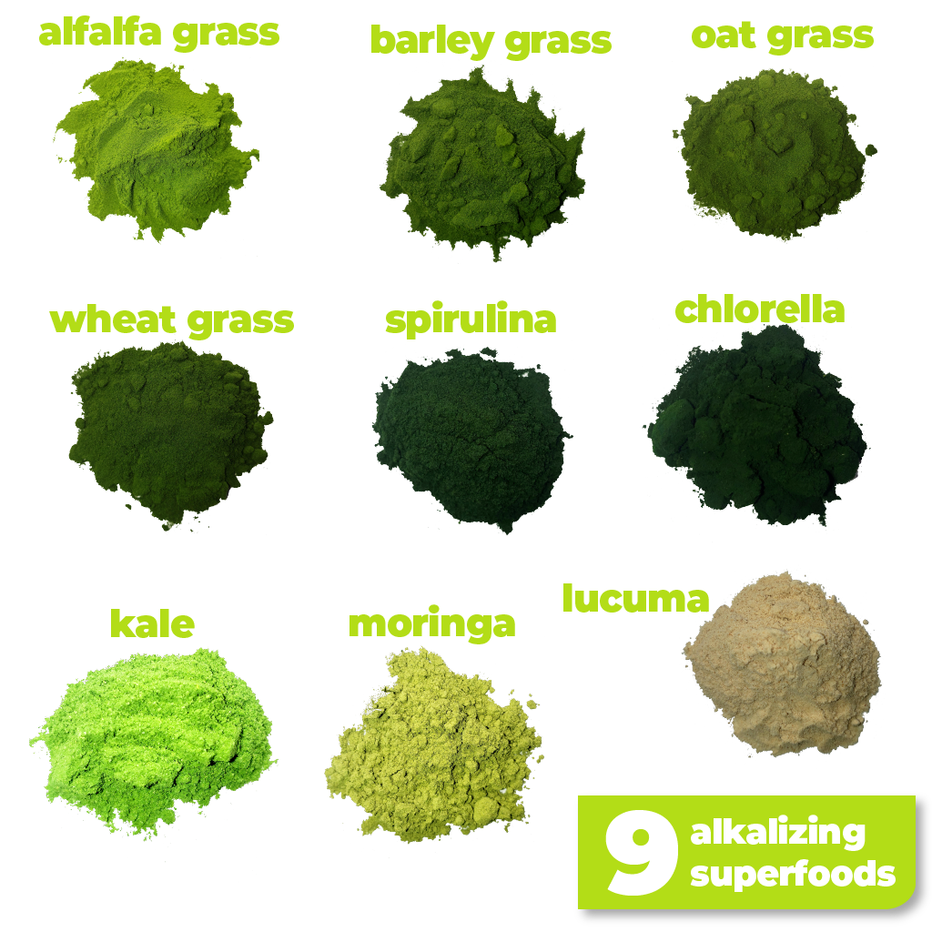 The 9 nutritious and alkalizing ingredients used to make Smoov's green blend- alfalfa grass, barley grass, oat grass, wheat grass, spirulina, chlorella, kale, moringa and lucuma. All to help you detox and get more nutrients.