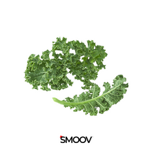 Load image into Gallery viewer, Bulk Organic Freeze Dried Kale Leaf Powder